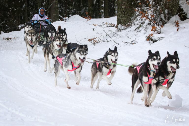 Résultats de la Course des Narces 2026 ❄️ 626843039 10243166122275529 7480055214247322361 n