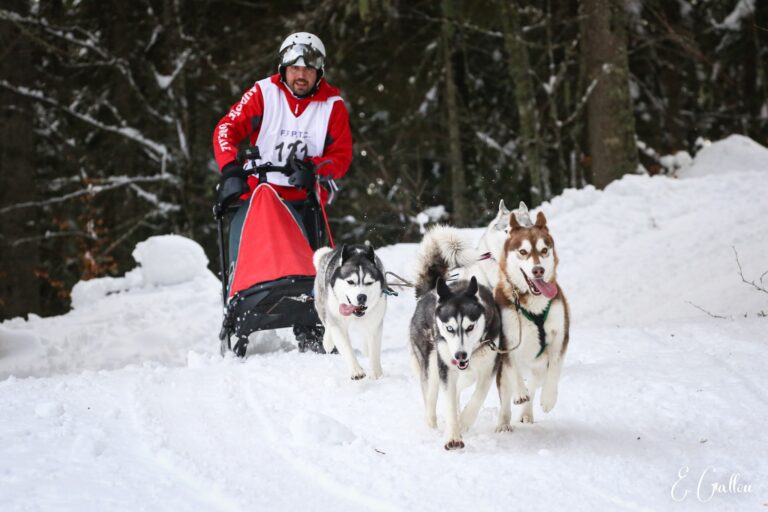 Résultats de la Course des Narces 2026 ❄️ 626850382 10243166166596637 6451365128341051175 n