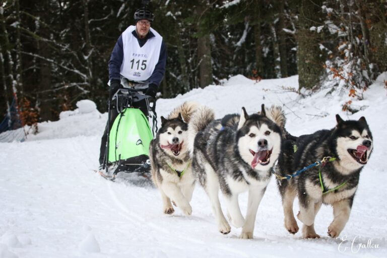 Résultats de la Course des Narces 2026 ❄️ 627342531 10243166131715765 920497857894003744 n