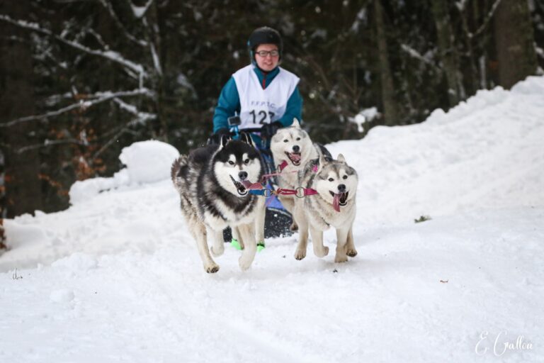 Résultats de la Course des Narces 2026 ❄️ 627353936 10243166141596012 1041635635048902322 n