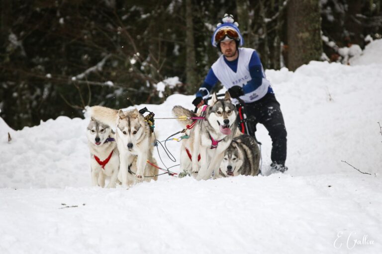 Résultats de la Course des Narces 2026 ❄️ 627357502 10243166139195952 3268254653059663964 n