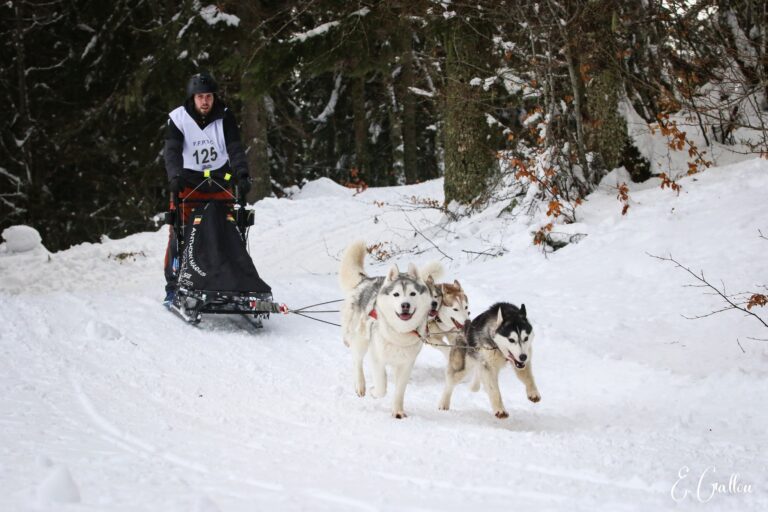 Résultats de la Course des Narces 2026 ❄️ 627363692 10243166157716415 6321993374306767140 n