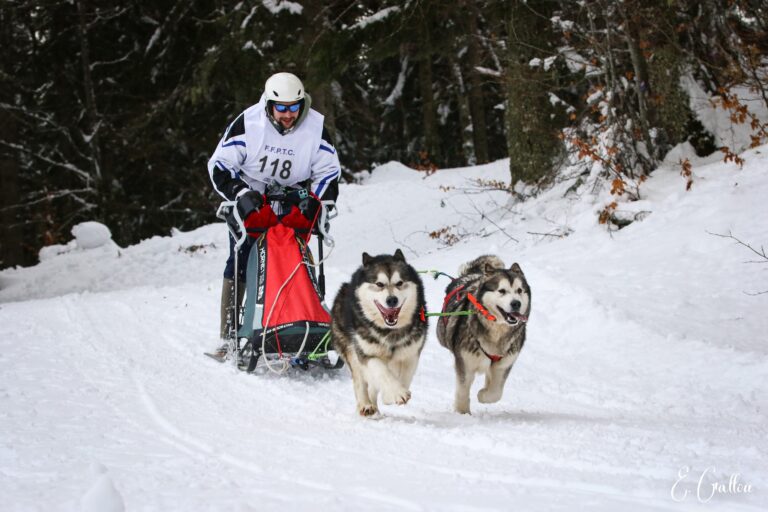 Résultats de la Course des Narces 2026 ❄️ 627365411 10243166149916220 8942111461907176538 n