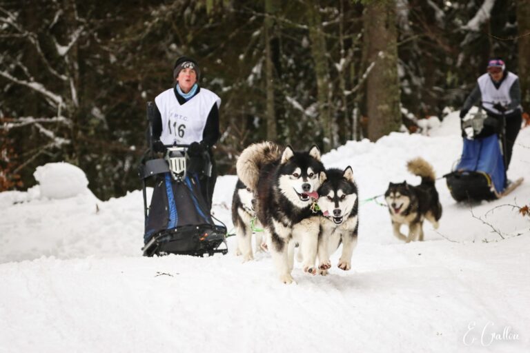 Résultats de la Course des Narces 2026 ❄️ 627366180 10243166137435908 6029271015523297051 n