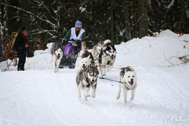 Résultats de la Course des Narces 2026 ❄️ 627368846 10243166136315880 1781519490760331747 n