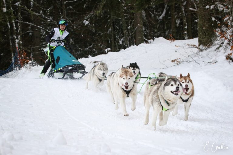 Résultats de la Course des Narces 2026 ❄️ 627376054 10243166121195502 40396480200200024 n