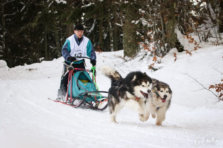 Résultats de la Course des Narces 2026 ❄️ 627378223 10243166186077124 3717297203600787765 n