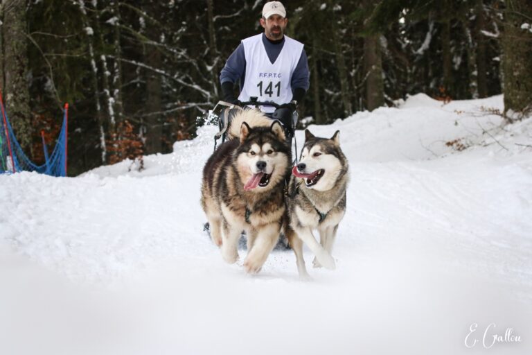Résultats de la Course des Narces 2026 ❄️ 627390375 10243166181517010 7927624538638104571 n