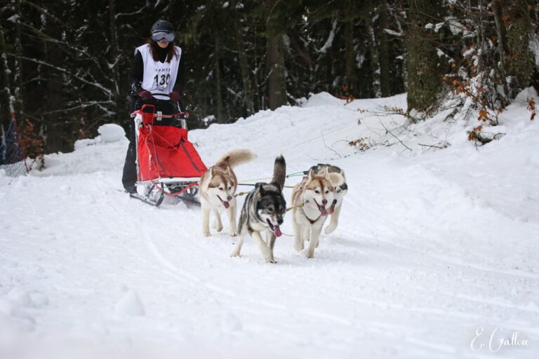 Résultats de la Course des Narces 2026 ❄️ 627393535 10243166160356481 6107951778792263623 n