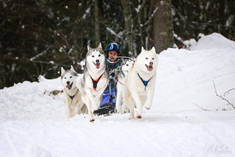 Résultats de la Course des Narces 2026 ❄️ 627413992 10243166144716090 1099703329795596869 n