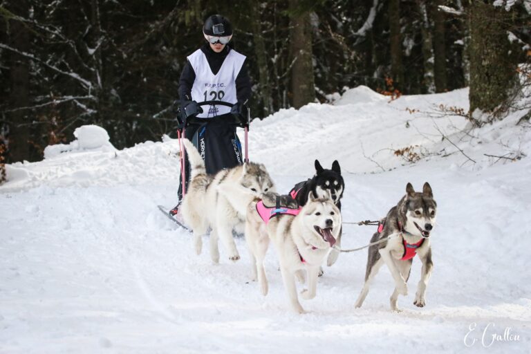 Résultats de la Course des Narces 2026 ❄️ 627447706 10243166143076049 4033326353164963003 n