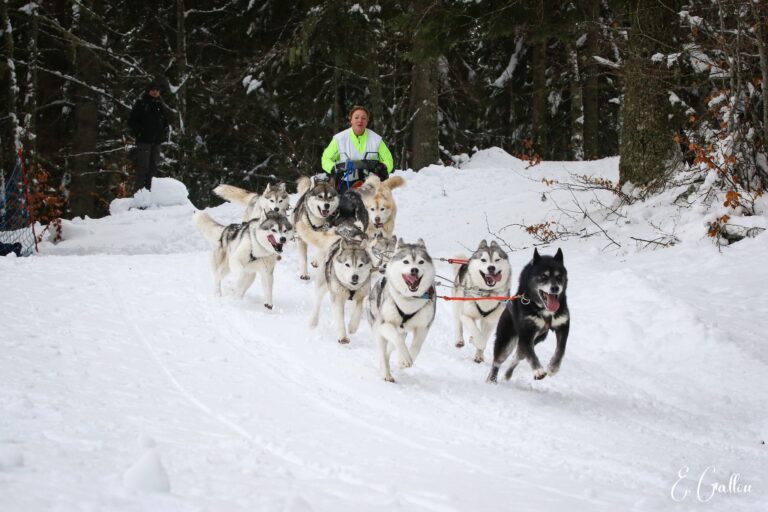 Résultats de la Course des Narces 2026 ❄️ 627481866 10243166128435683 2211874738653456967 n