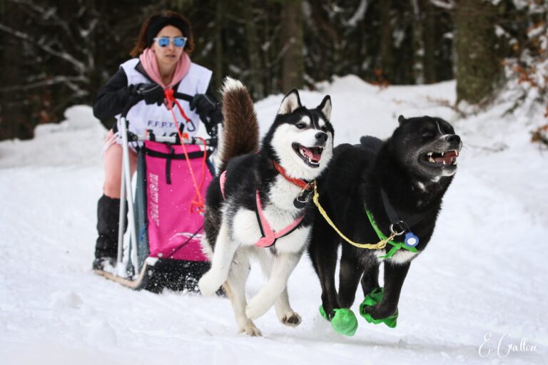 Résultats de la Course des Narces 2026 ❄️ 627502984 10243166177396907 4311763678717361527 n