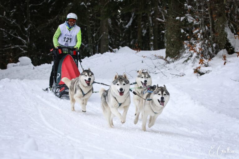 Résultats de la Course des Narces 2026 ❄️ 627690584 10243166152916295 1742341727431206441 n