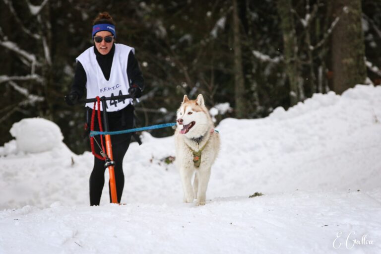 Résultats de la Course des Narces 2026 ❄️ 627696391 10243166183797067 799341716445155801 n