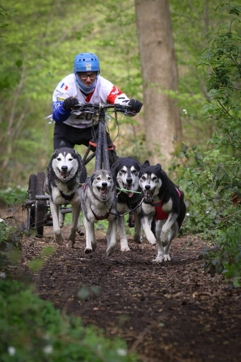 Retour sur la course de Phalempin 1f8a0171 1