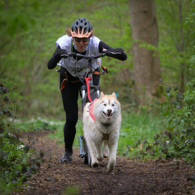 Retour sur la course de Phalempin 1f8a1405 1