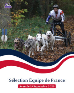 affiche équipe de france terre 2026