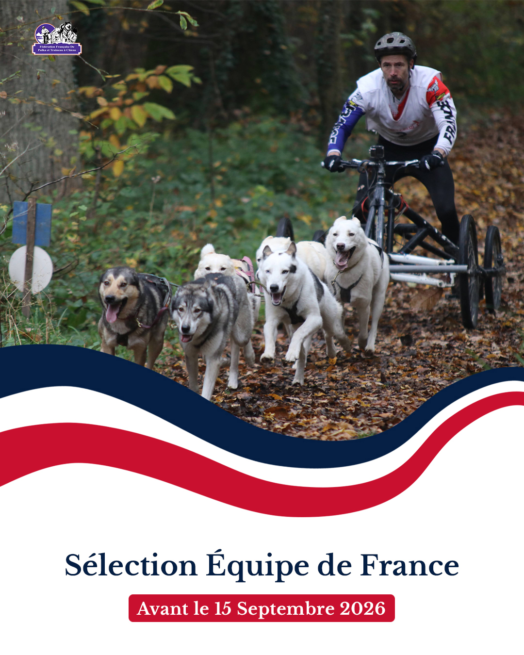 affiche équipe de france terre 2026